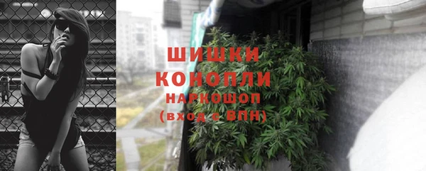 мет Елабуга