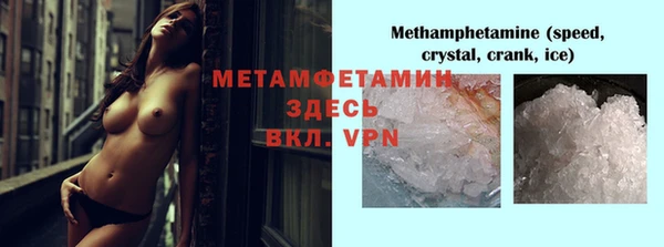 сатива Елизово