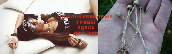 мет Елабуга