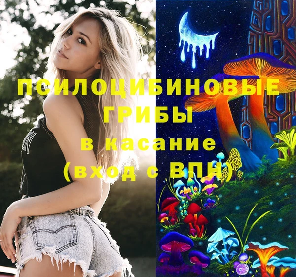 сатива Елизово