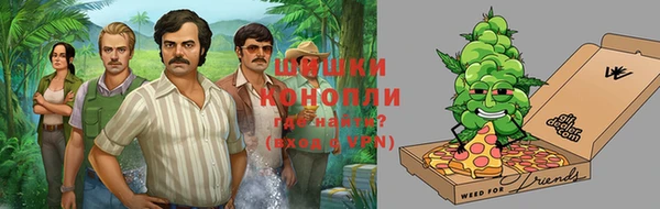 сатива Елизово